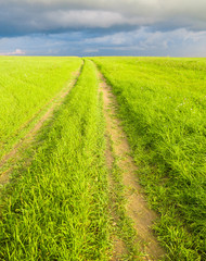 Way through the Green On a Country Lane