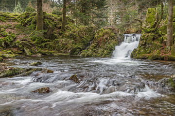 torrent de montagne