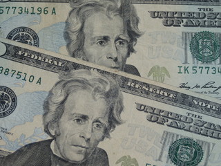 twenty dollar bill