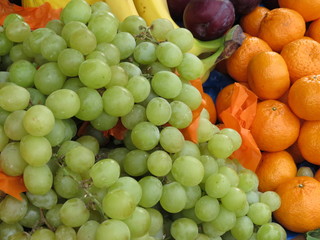fruit (different kinds)