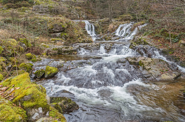torrent de montagne