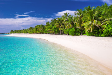 Tropical island with sandy beach with palm trees