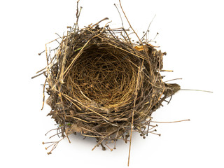 Bird's Nest