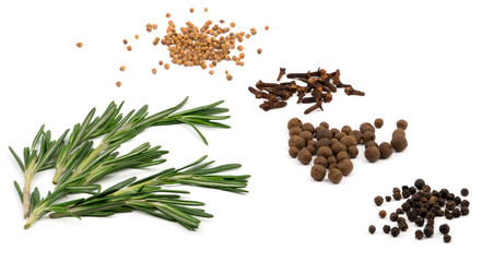 Spices on white background