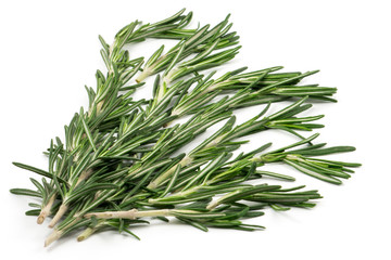 Fototapeta premium Sprigs of rosemary