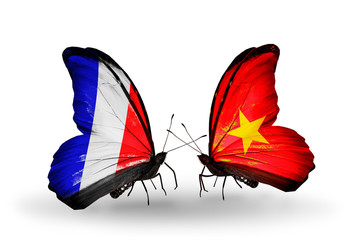 Two butterflies with flags France and Vietnam