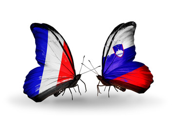 Two butterflies with flags France and Slovenia