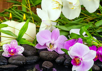 Fototapeta na wymiar Wellness: Orchideen mit Steinen, Bambus und Kerzenlicht :)