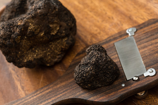 delicacy mushroom black truffle