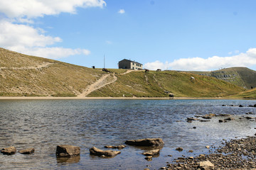 Cavalli assetati al Lago Scaffaiolo: Tra Toscana e Bologna lago di montagna al rifugio
