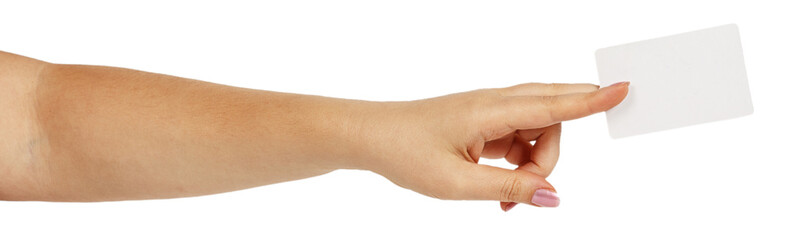 Female hand holding a white business card