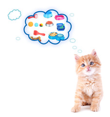 Cute kitten and it thought bubbles isolated on white