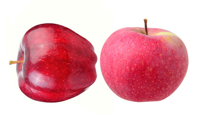 Red ripe apple on white background