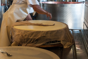 Cheesemaking