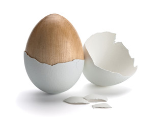 Wooden egg in a natural shell