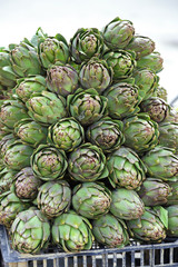 Fototapeta premium Artichokes