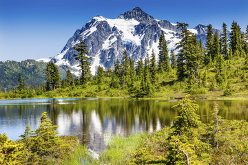 Fototapeta na wymiar Picture Lake Evergreens Mount Shuksan Washington USA