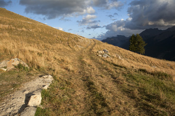 Saison Berger, Alpes de hautes Provence