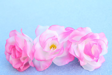 Fototapeta premium artificial flower 2