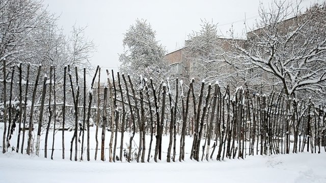 Snow falling on the background of self-acquired garden