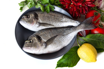 Fresh sea bream on plate with lemon, tomatoes and herbs