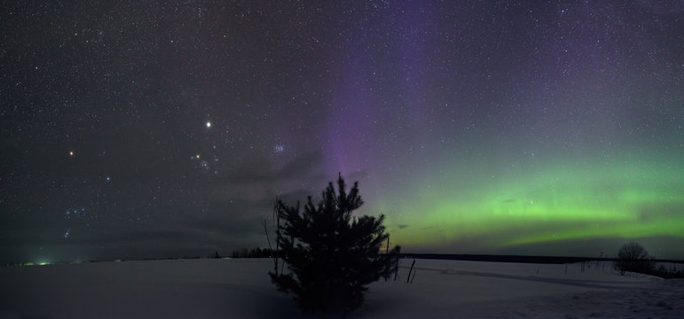 Beautiful night winter landscape with the stars