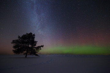 Obraz na płótnie Canvas Beautiful night winter landscape with the stars
