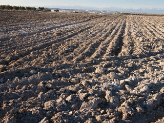 Terreno labrado en Pinto.