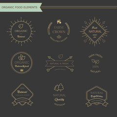 Set of vintage style elements for labels and badges  meat, fresh
