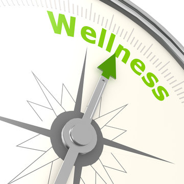 Wellness compass