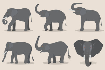 Fototapeta premium Gray elephant set