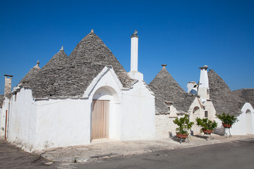 Traditional 