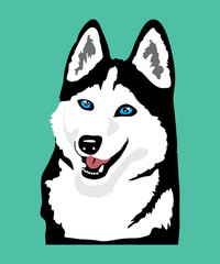 Friendly blue-eyed husky on blue background © DreamcatcherDiana