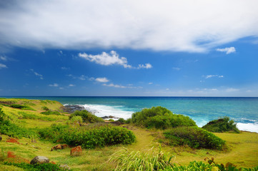 Beautiful landscape of Kauai island