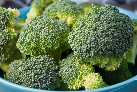 Fresh broccoli in blue bowl