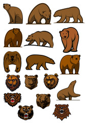 Grizzly and brown bear characters