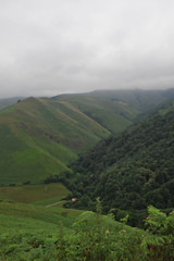 Paysage de montagne sous la brume