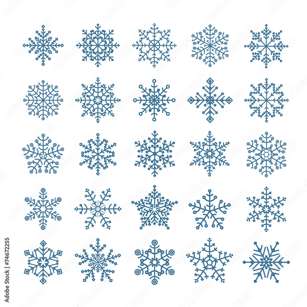 Poster Different snowflake elements set. Design template