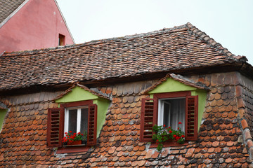 Flowers by the window