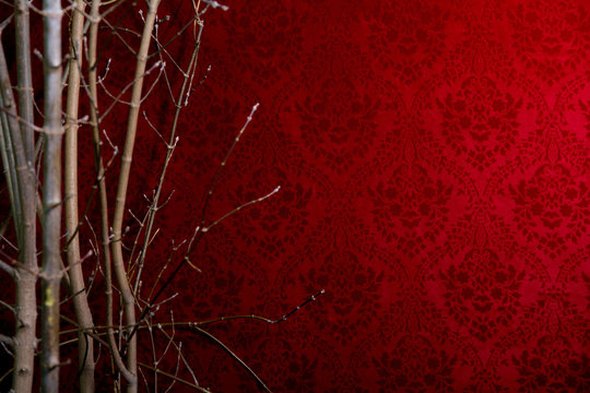 Branch of a tree on a red background with a pattern.