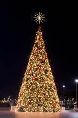 Illuminated Christmas tree at night