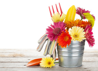 Colorful flowers and garden tools