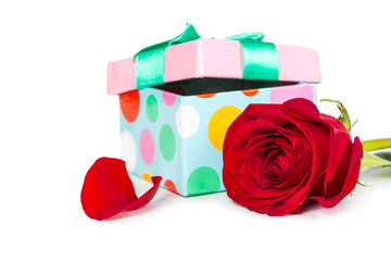 Colorful gift box and rose