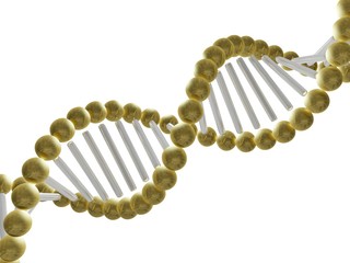DNA Structure