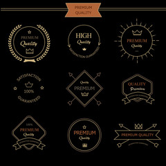 Set of premium quality vintage style elements  labels and badges