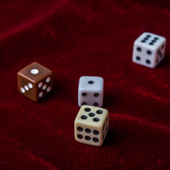 Game bones  on a table