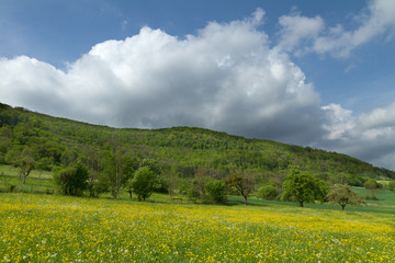 Bad Ditzenbach