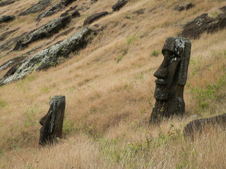 Moai In Grasses