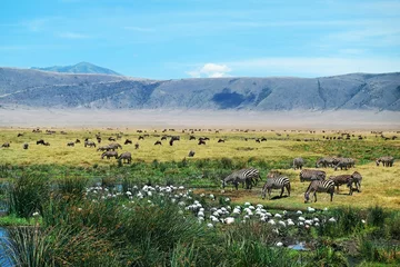 Tuinposter Ngorongoro Crater © Pixeltheater