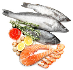 Fresh catch of fish and other seafood isolated on white